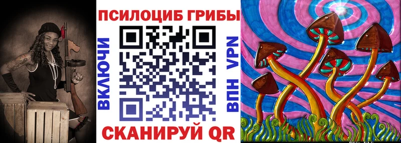 Галлюциногенные грибы Psilocybe  блэк спрут зеркало  Называевск 